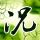 办理高仿欧文斯社区学院毕业证【degxx.com】